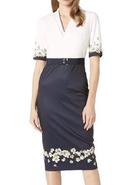 Ted Baker Avii Color Block Midi Dress